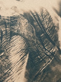 a black and white photo of a drawing of a tree