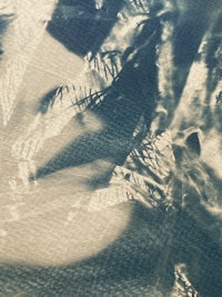 a black and white photo of a bird flying in the air